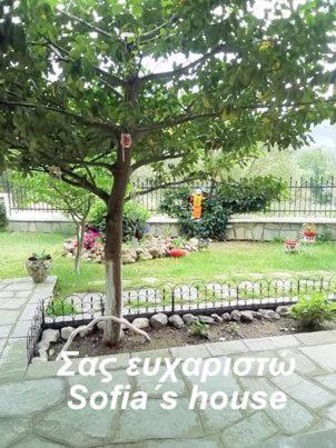 Sofia's House Apartment Palaiontsiflikion