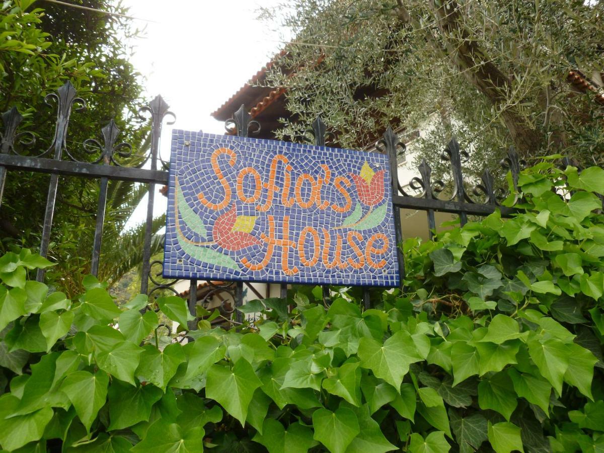 Sofia's House Apartment Palaiontsiflikion